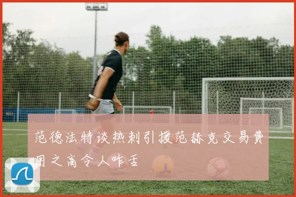 范德法特谈热刺引援范赫克交易费用之高令人咋舌