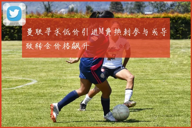曼联寻求低价引进M费热刺参与或导致转会价格飙升